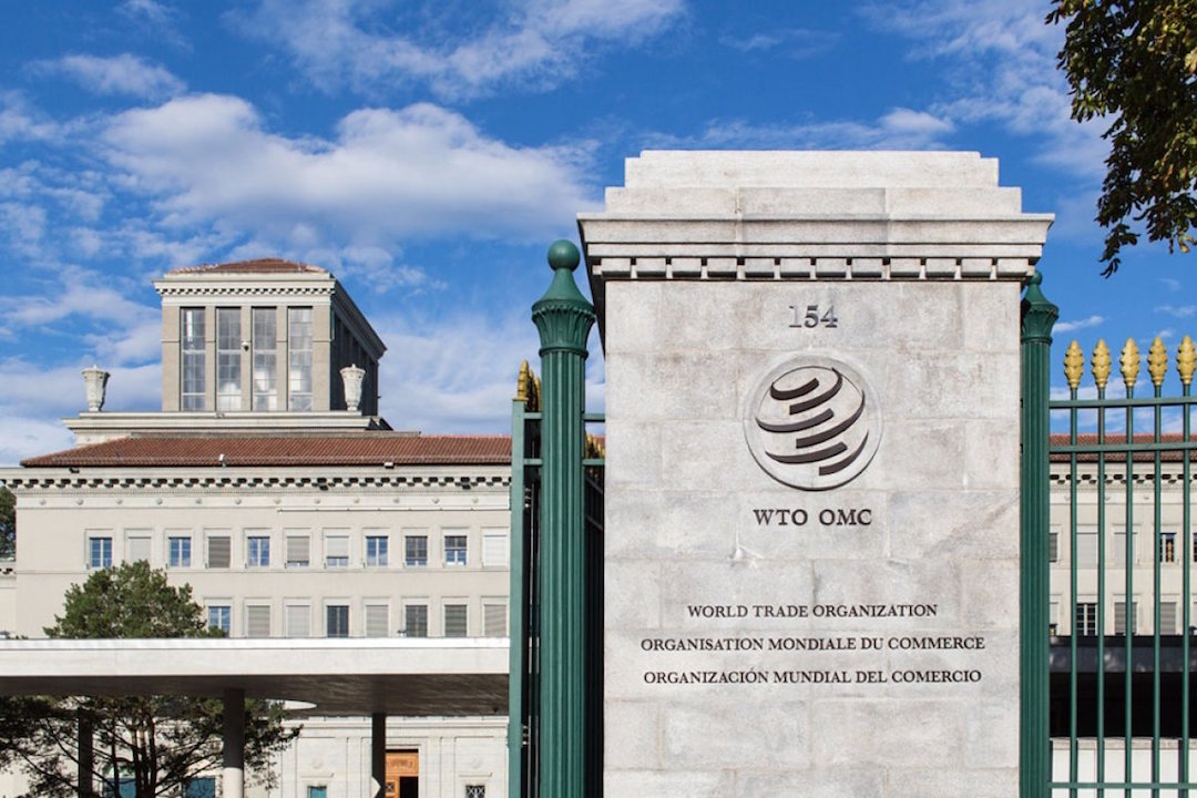 Transparency and Public participation in WTO dispute settlement